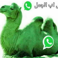seliuq