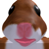 Kowki