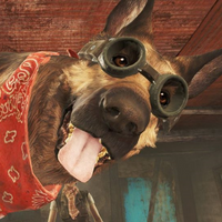 Allaroo