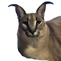 Nigatto
