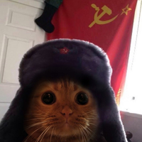 Kronky