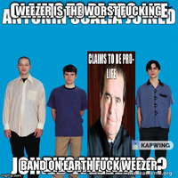 Weezer_fan