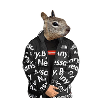 Thatfireboi101