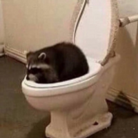 iIy