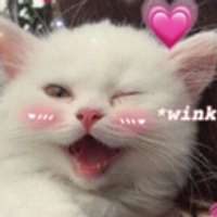 Lincon