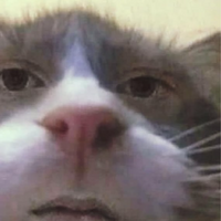 FrogWizzard