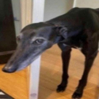 Erik01
