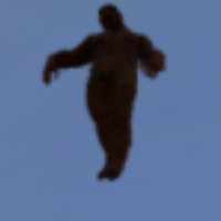 AntKnee