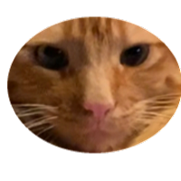 MysticOnPc