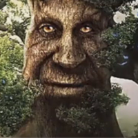 GREATOAKTREE