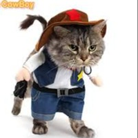CowboyCat5