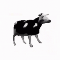 yoyo33gab