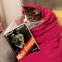 RmaenNoodl