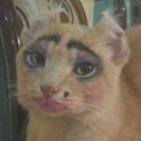 FurryLovrr69
