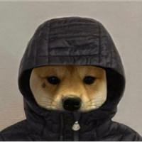 Nozi