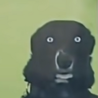 Jimmybob86
