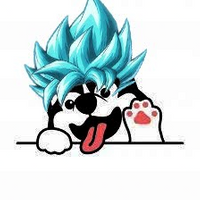 huskySSJ