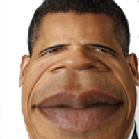 gerofin