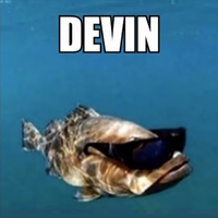 Ripjaw149