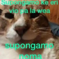 BruhM0ment