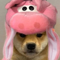 CasualPiggy
